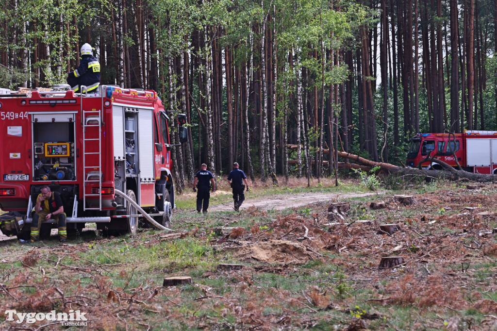 Wymysłowo - pożar w lesie. W akcji dromadery
