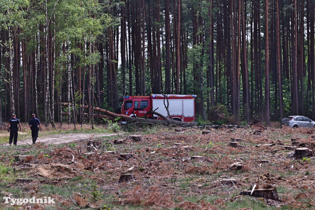 Wymysłowo - pożar w lesie. W akcji dromadery
