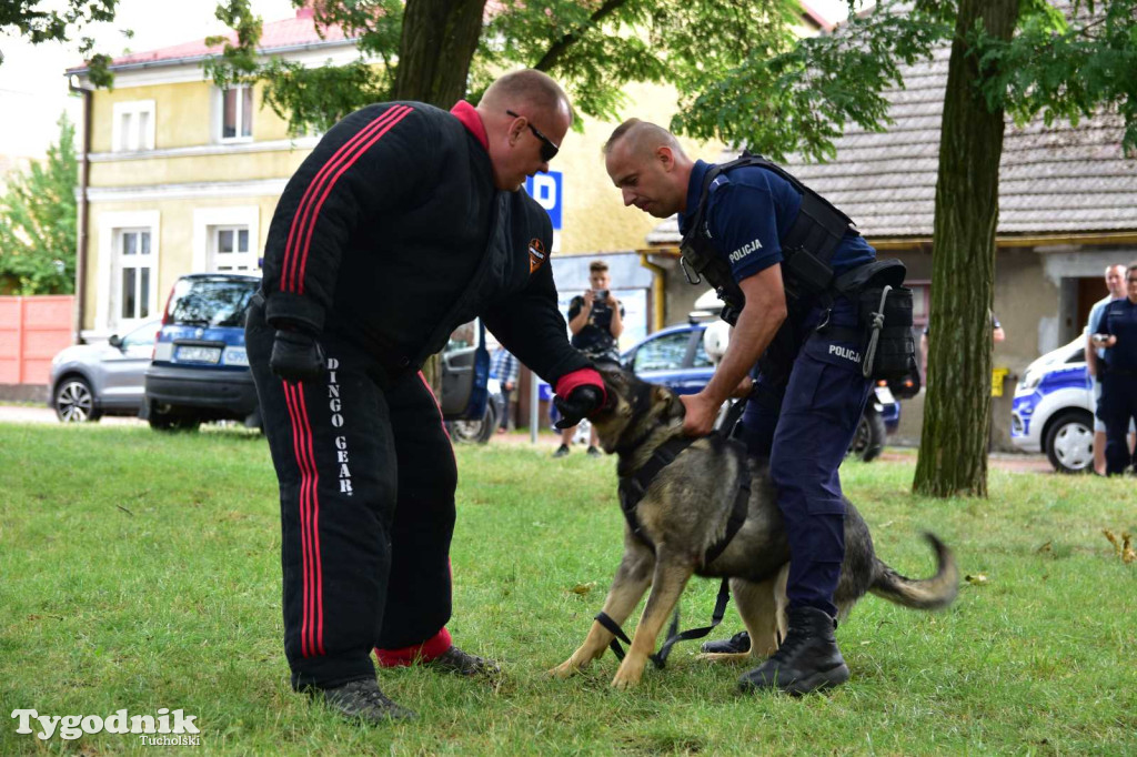 Powiatowe Obchody Święta Policji