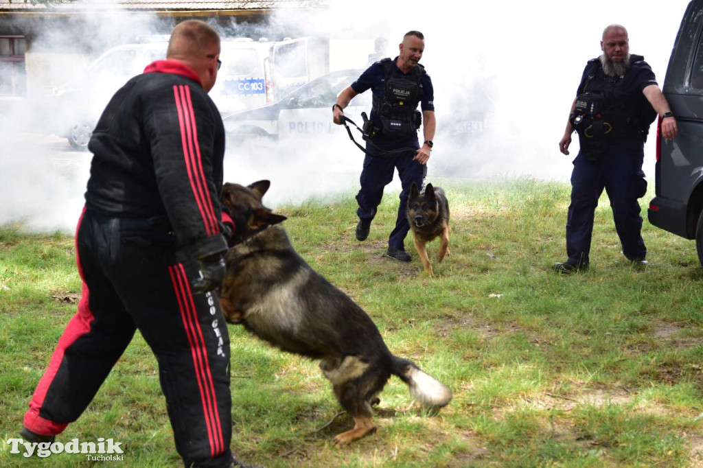 Powiatowe Obchody Święta Policji