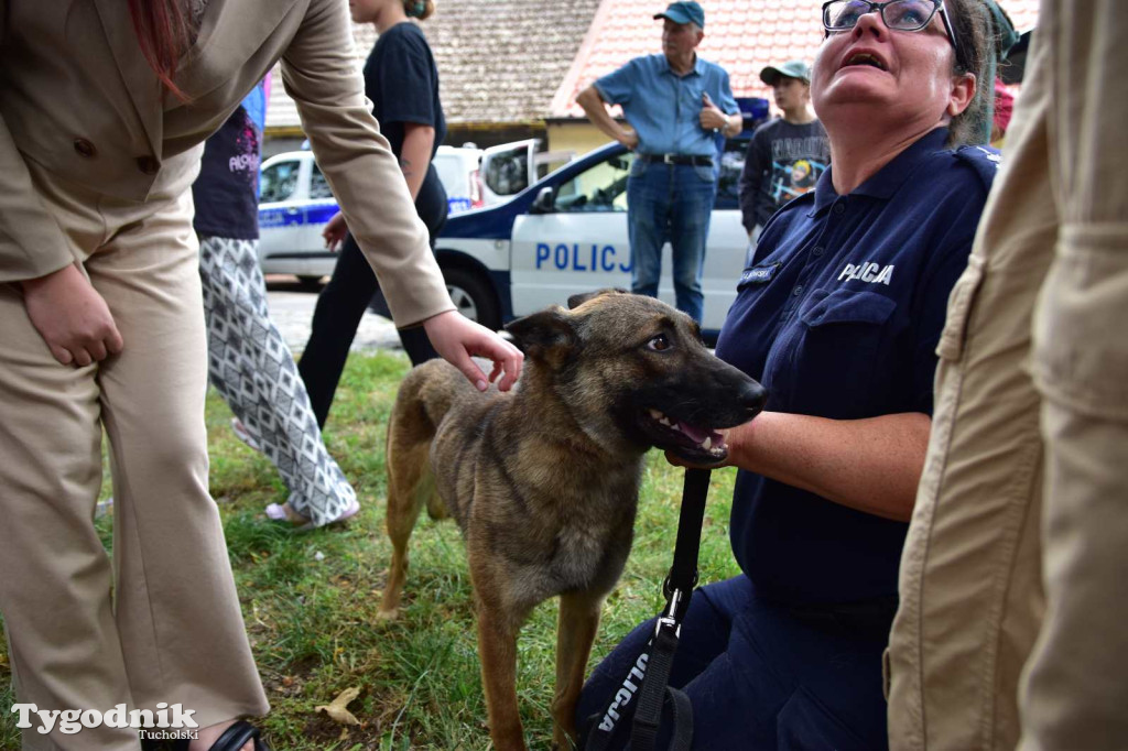 Powiatowe Obchody Święta Policji