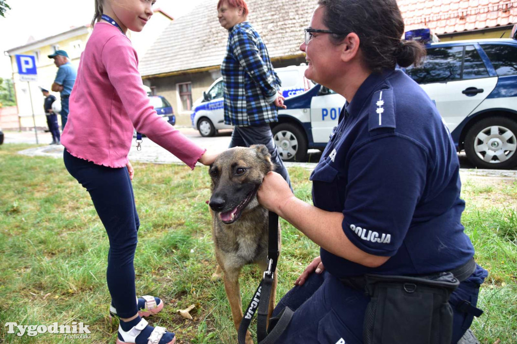 Powiatowe Obchody Święta Policji