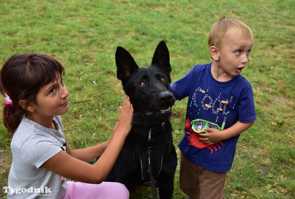 Powiatowe Obchody Święta Policji