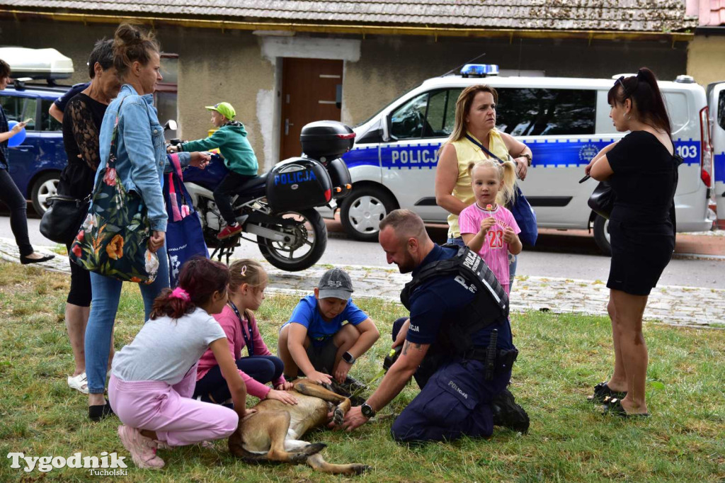 Powiatowe Obchody Święta Policji