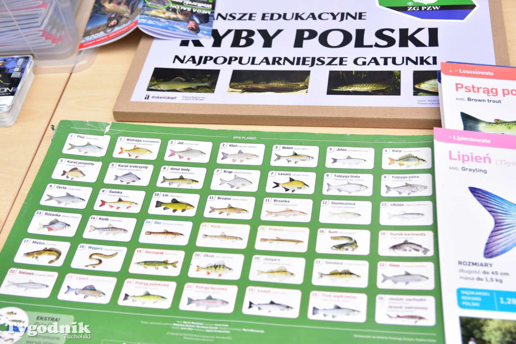Lato w parku