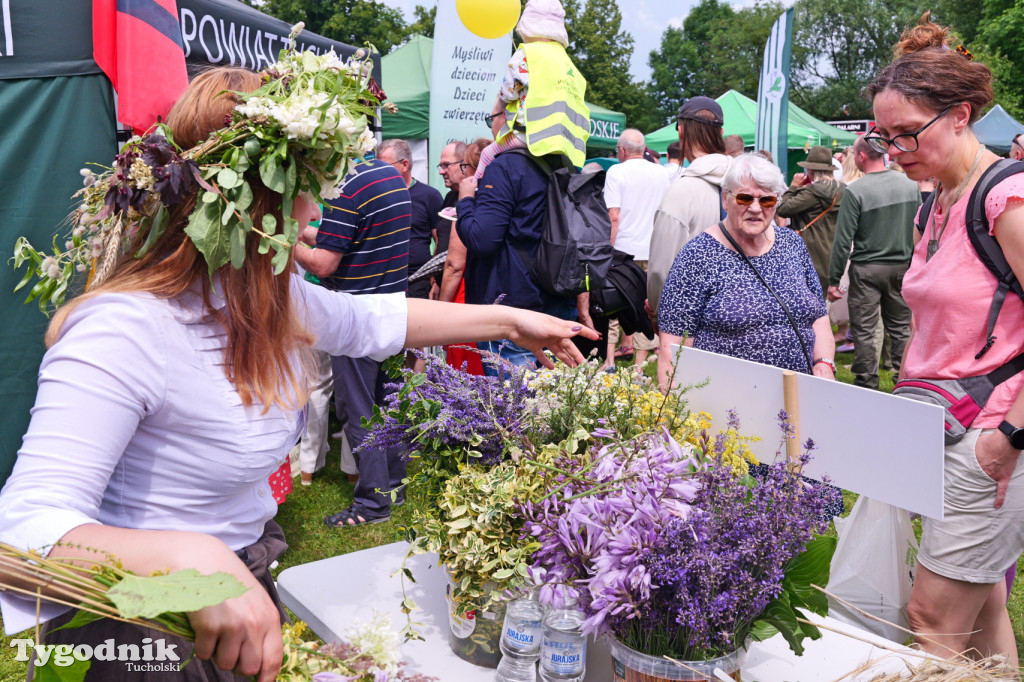 Tuchola. Dzień Folkloru Borowiackiego 2025