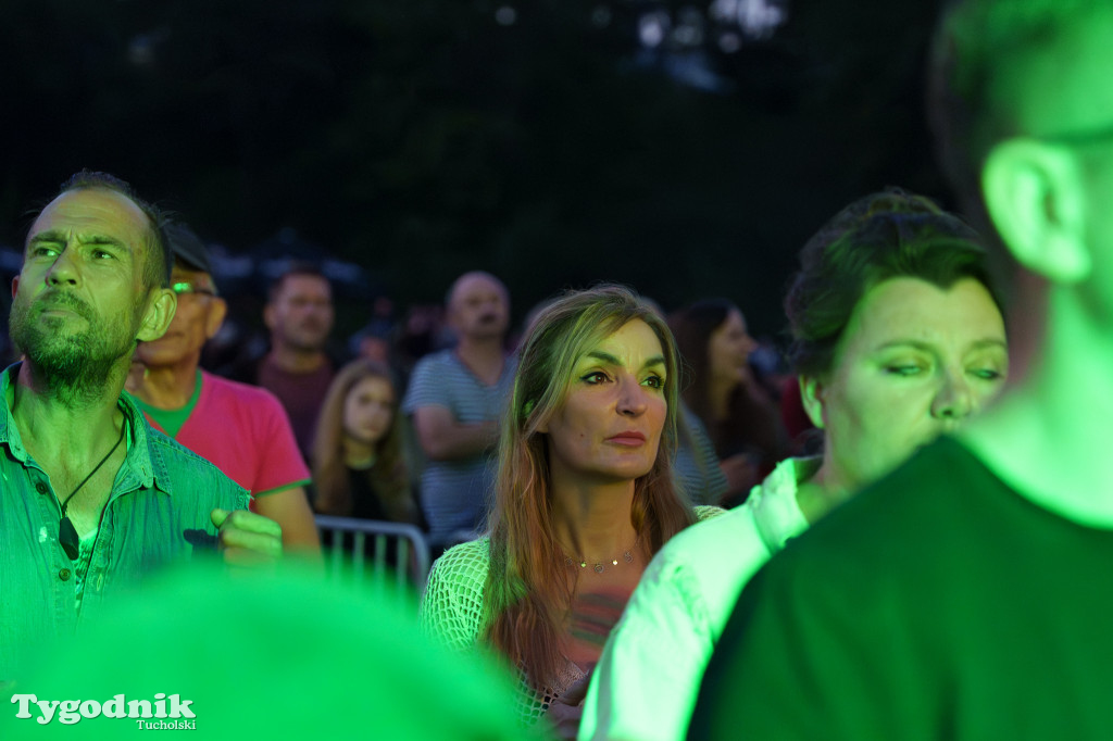 Koncerty DBT: Kotowsky i Przyjaciele, RoomX, Damian Syjonfam