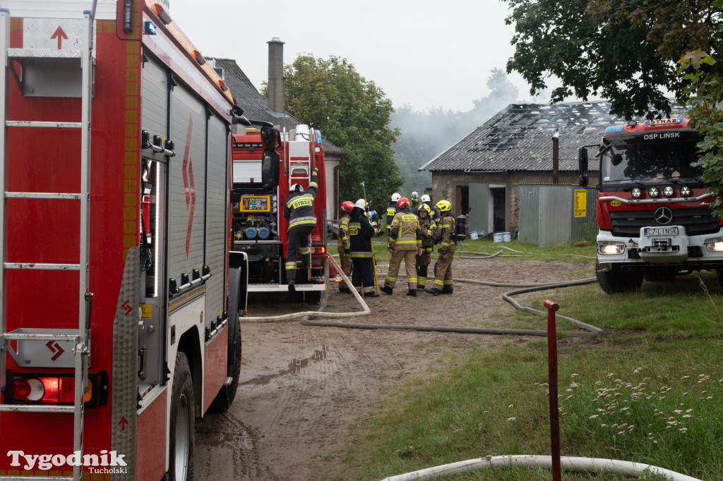 Śliwice: W wyniku pożaru całkowicie spłonął budynek gospodarczy