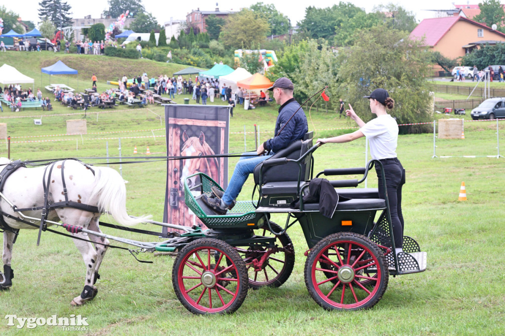 Śliwice i Piknik Koniarza 2025