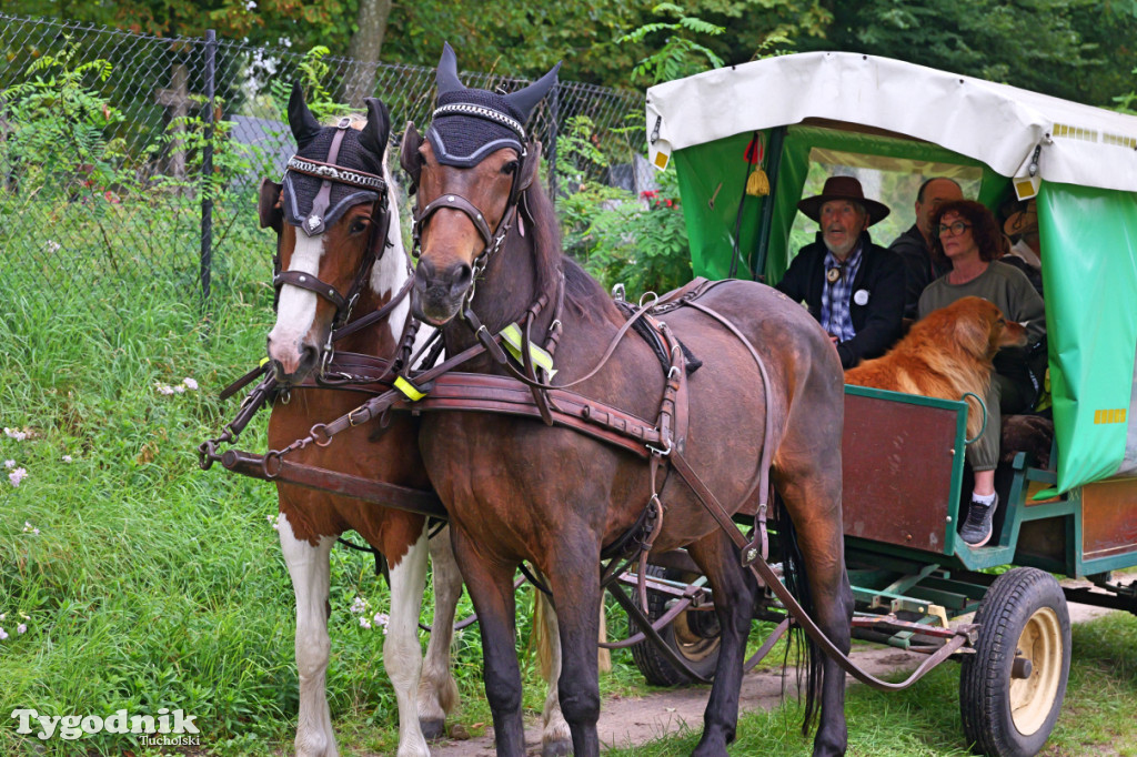 Śliwice i Piknik Koniarza 2025
