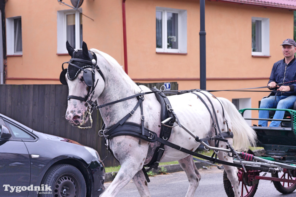 Śliwice i Piknik Koniarza 2025