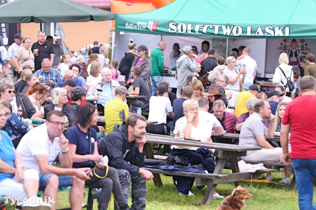 Śliwice i Piknik Koniarza 2025