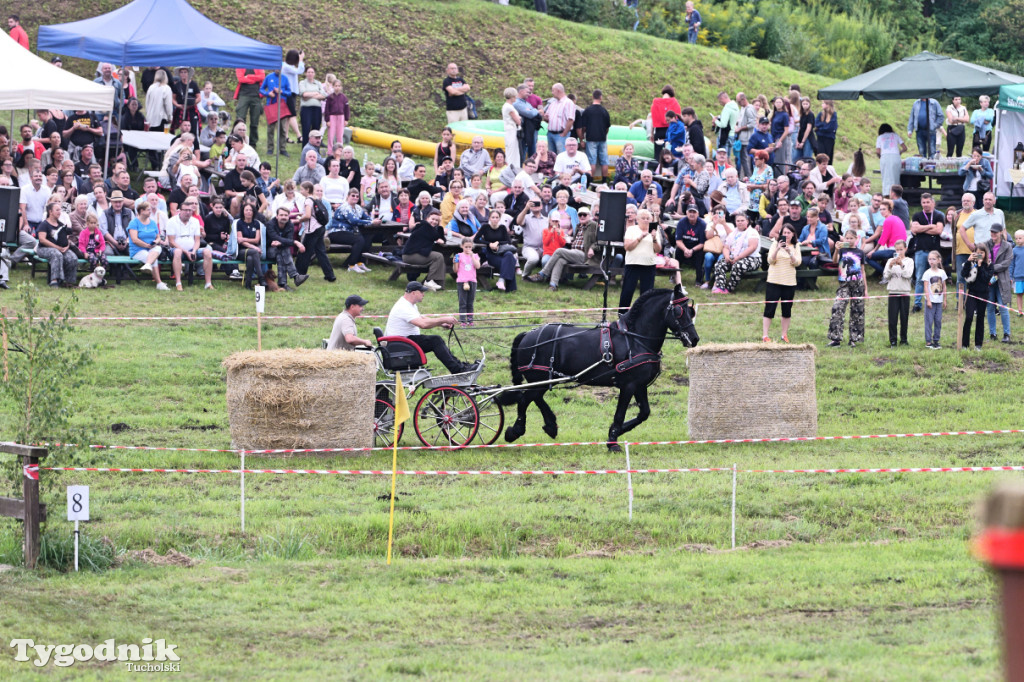 Śliwice i Piknik Koniarza 2025