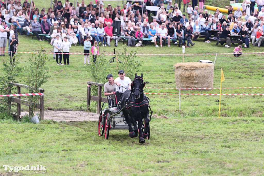Śliwice i Piknik Koniarza 2025