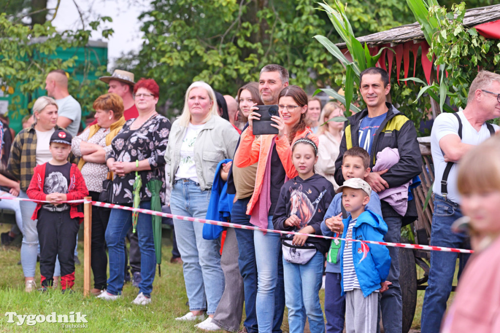 Śliwice i Piknik Koniarza 2025