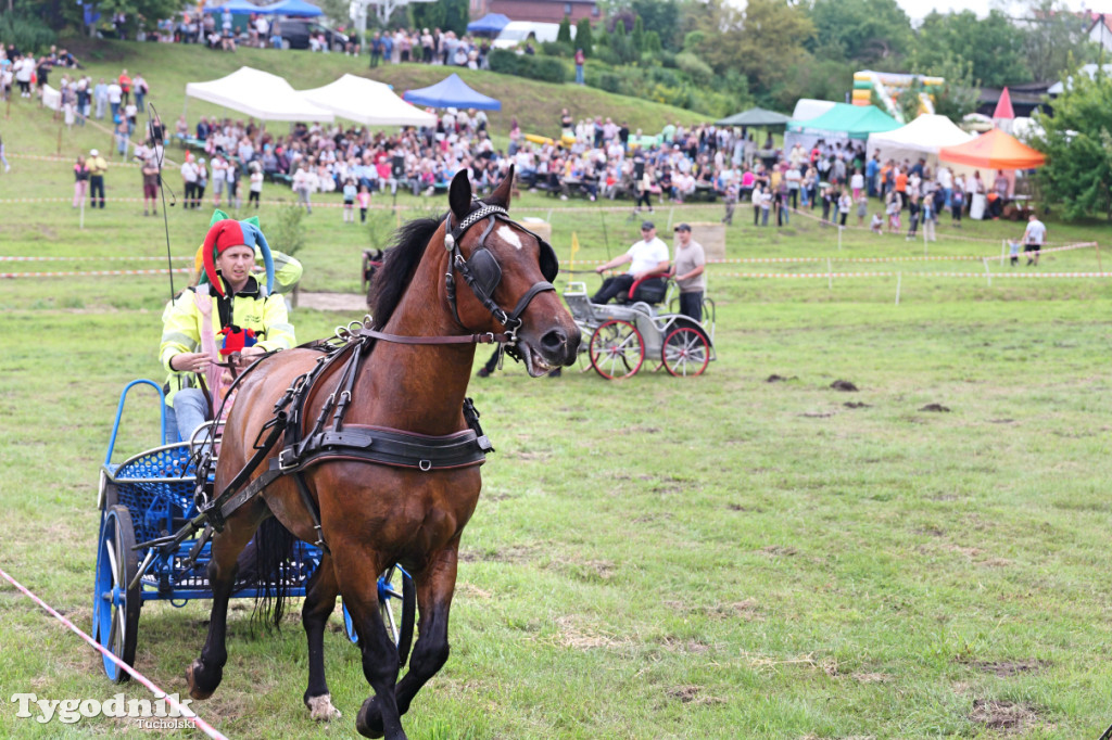 Śliwice i Piknik Koniarza 2025