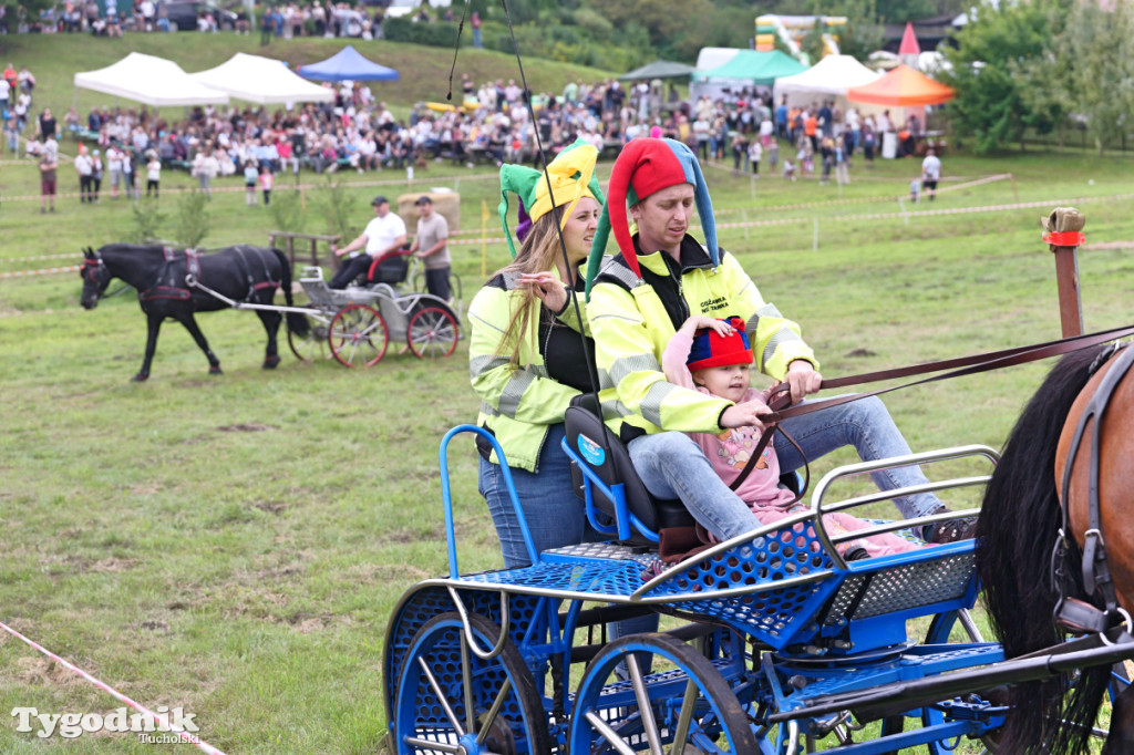Śliwice i Piknik Koniarza 2025