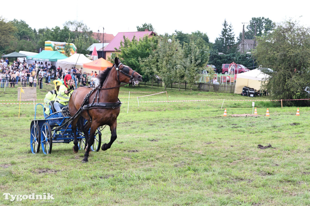 Śliwice i Piknik Koniarza 2025