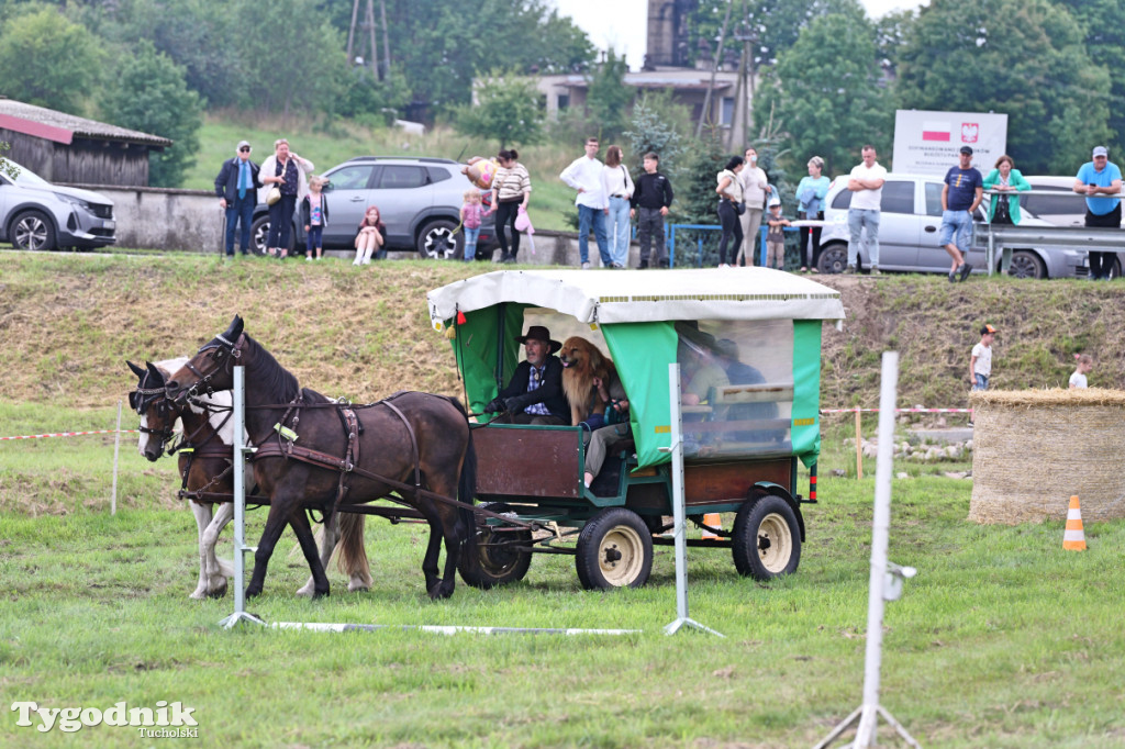 Śliwice i Piknik Koniarza 2025