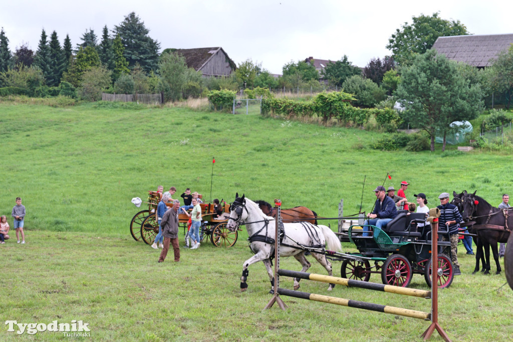 Śliwice i Piknik Koniarza 2025