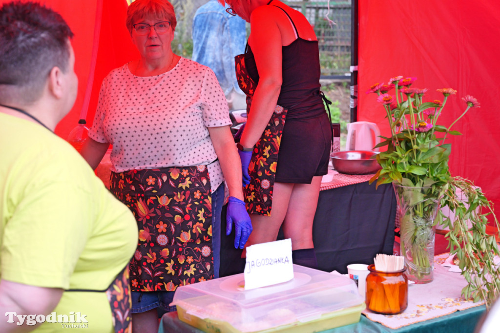 Śliwice i Piknik Koniarza 2025