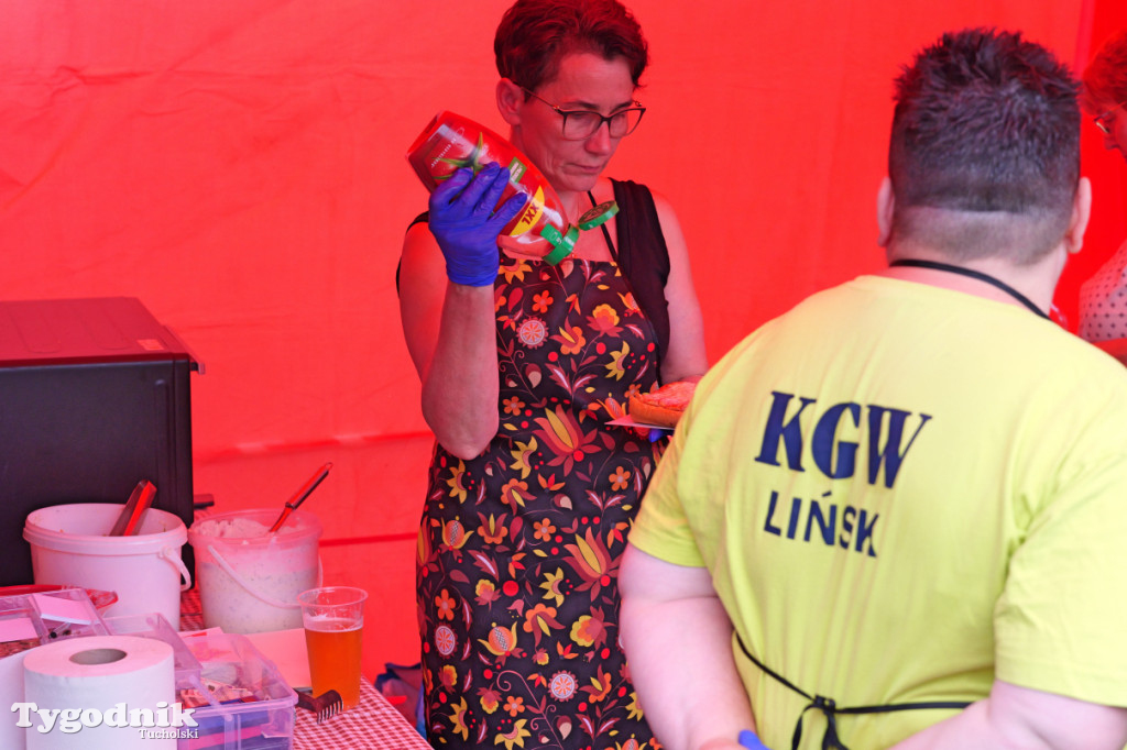 Śliwice i Piknik Koniarza 2025