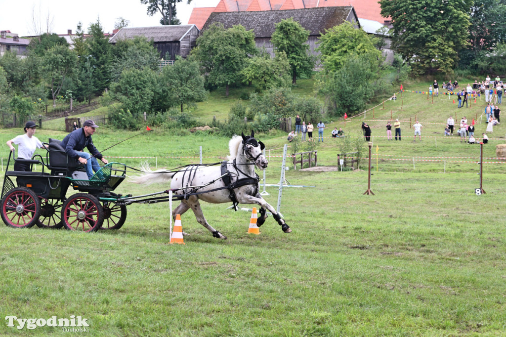 Śliwice i Piknik Koniarza 2025