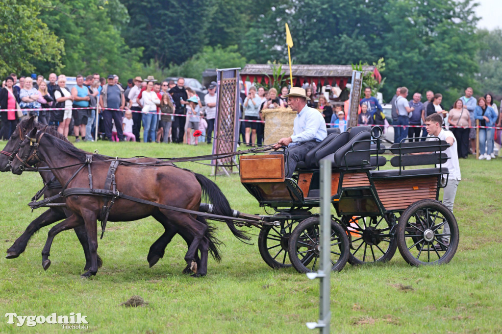 Śliwice i Piknik Koniarza 2025