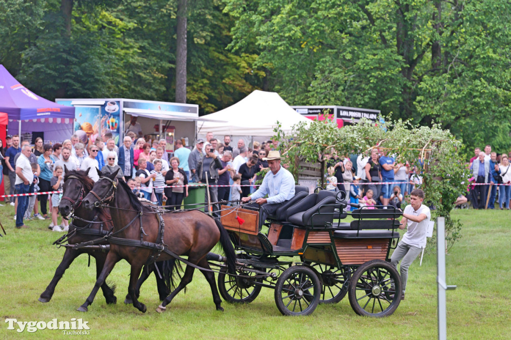 Śliwice i Piknik Koniarza 2025