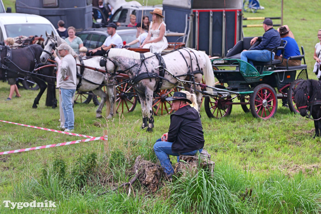 Śliwice i Piknik Koniarza 2025