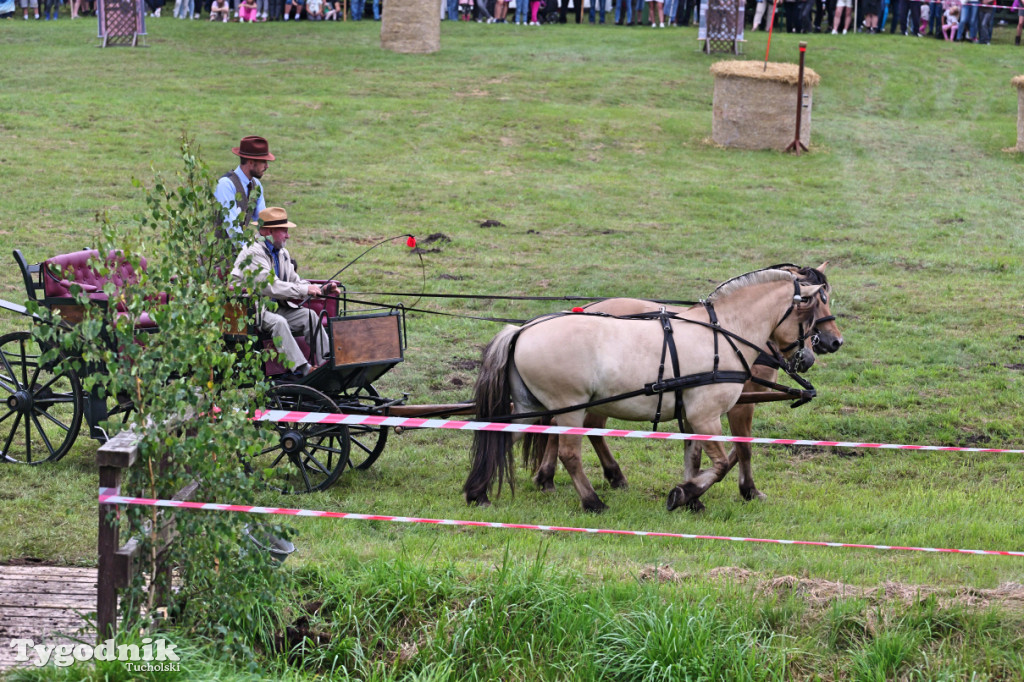 Śliwice i Piknik Koniarza 2025