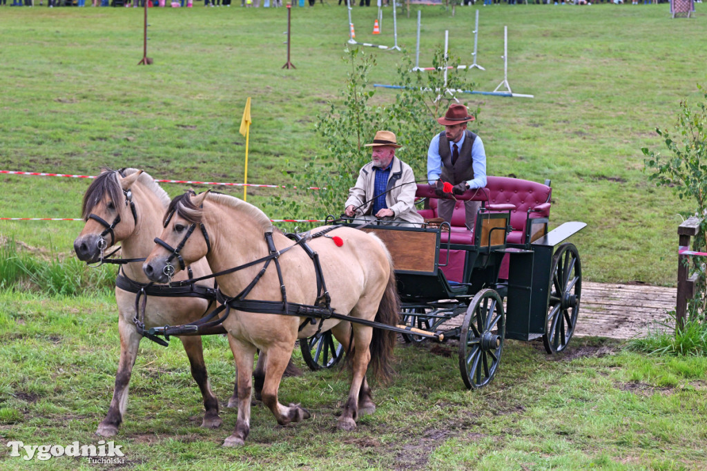 Śliwice i Piknik Koniarza 2025