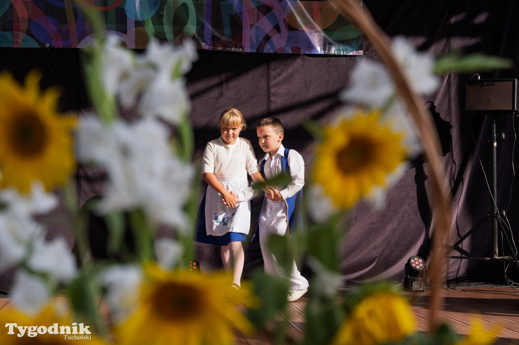 Śliwice: Cezary Pazura i inni