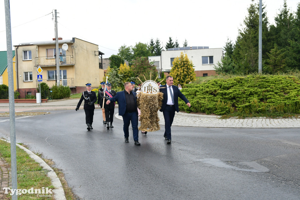 Dożynki gminy Gostycyn 2025 w Kamienicy przed pałacem