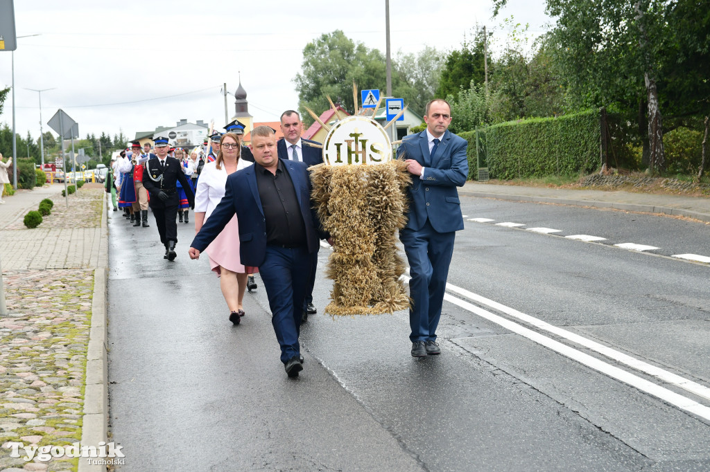 Dożynki gminy Gostycyn 2025 w Kamienicy przed pałacem