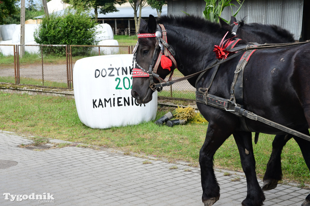 Dożynki gminy Gostycyn 2025 w Kamienicy przed pałacem