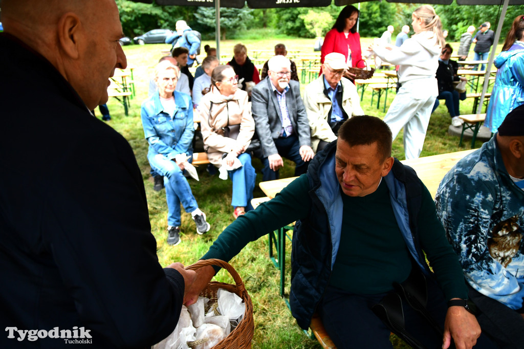 Dożynki gminy Gostycyn 2025 w Kamienicy przed pałacem