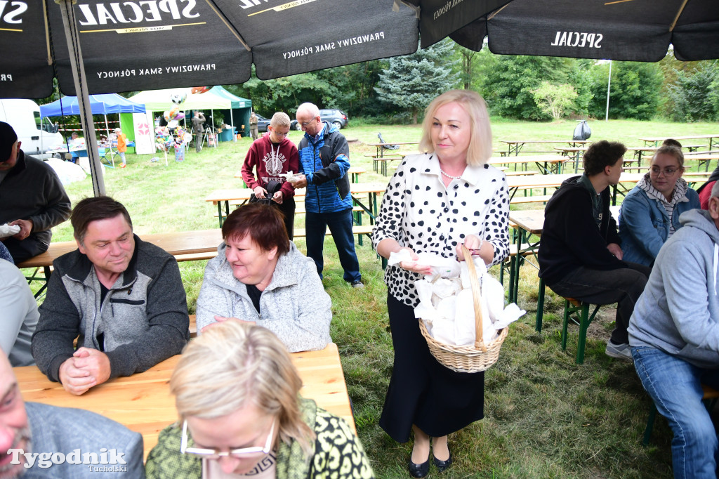 Dożynki gminy Gostycyn 2025 w Kamienicy przed pałacem