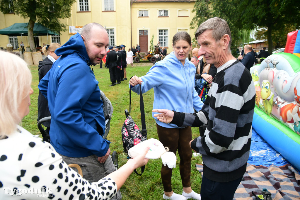 Dożynki gminy Gostycyn 2025 w Kamienicy przed pałacem
