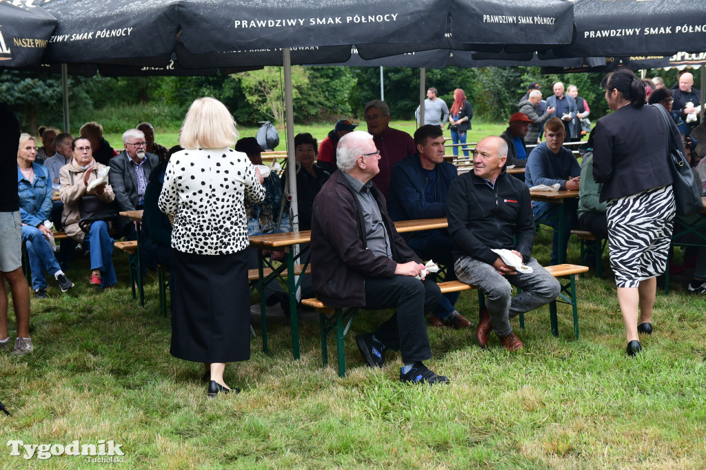 Dożynki gminy Gostycyn 2025 w Kamienicy przed pałacem