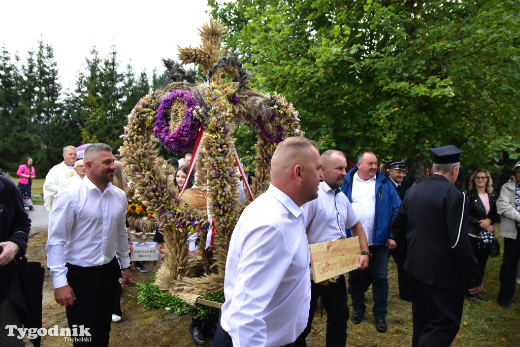 Gmina Śliwice: Tłumy podczas dożynek gminnych w Zaroślach