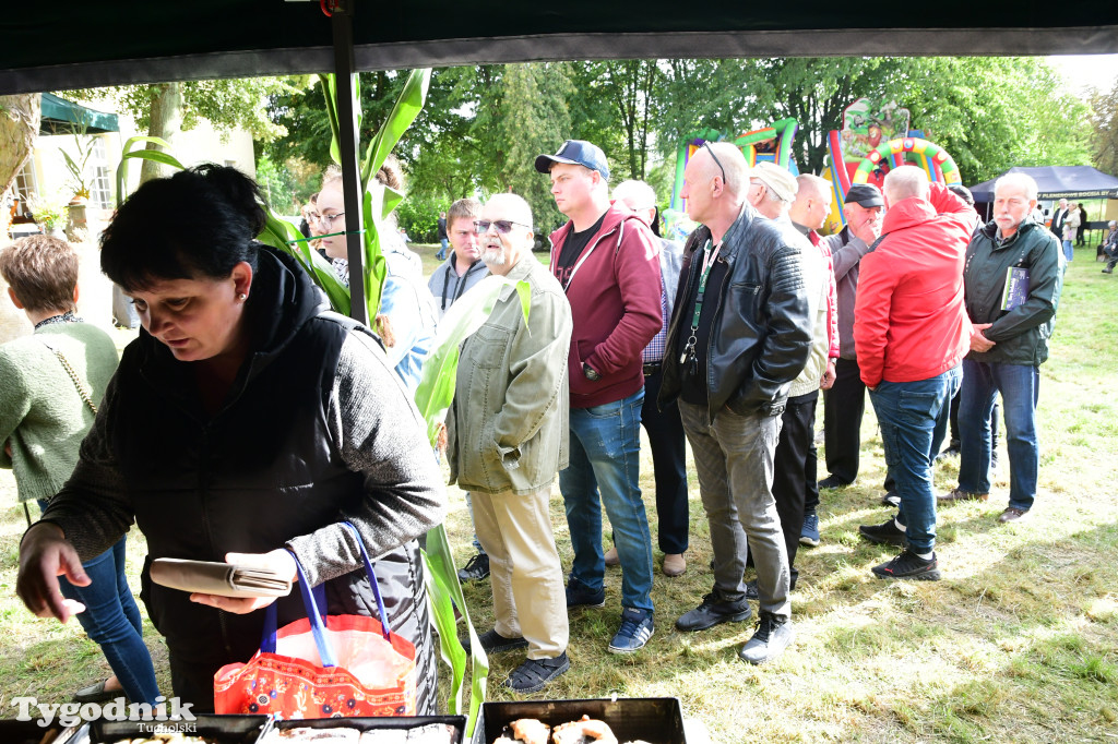 Dożynki gminy Gostycyn 2025 w Kamienicy przed pałacem