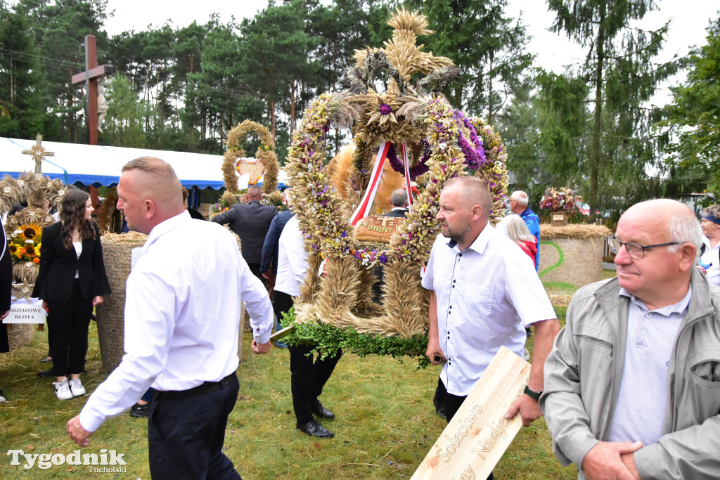 Gmina Śliwice: Tłumy podczas dożynek gminnych w Zaroślach