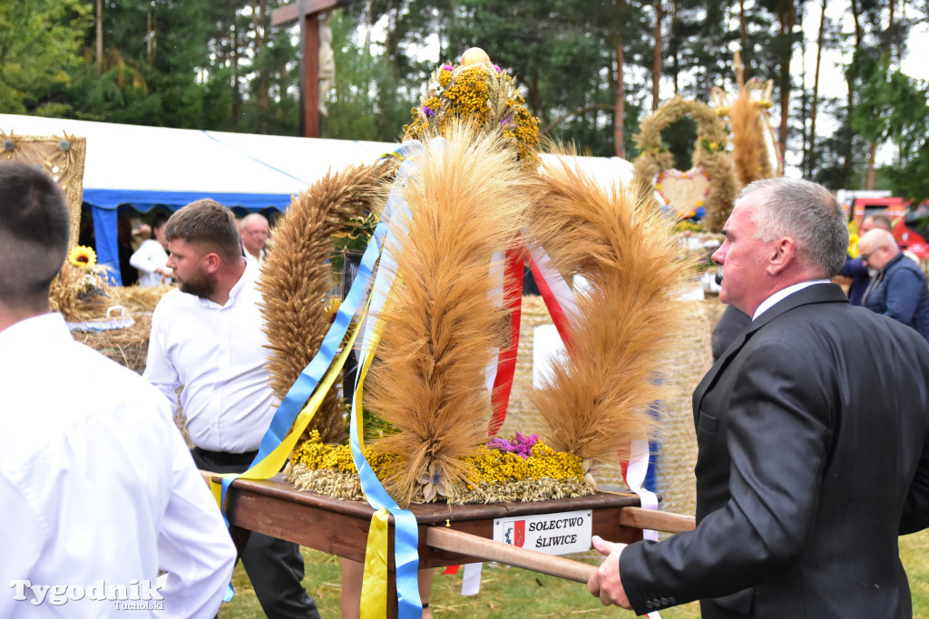 Gmina Śliwice: Tłumy podczas dożynek gminnych w Zaroślach