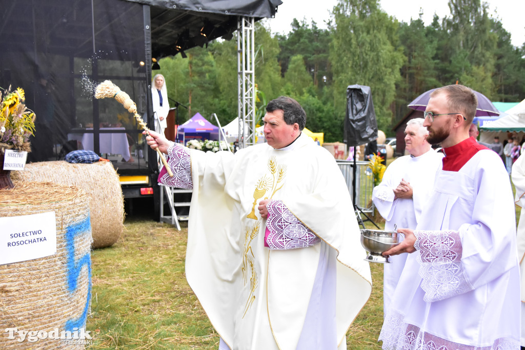 Gmina Śliwice: Tłumy podczas dożynek gminnych w Zaroślach