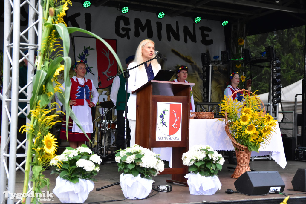 Gmina Śliwice: Tłumy podczas dożynek gminnych w Zaroślach