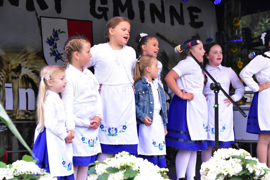 Gmina Śliwice: Tłumy podczas dożynek gminnych w Zaroślach