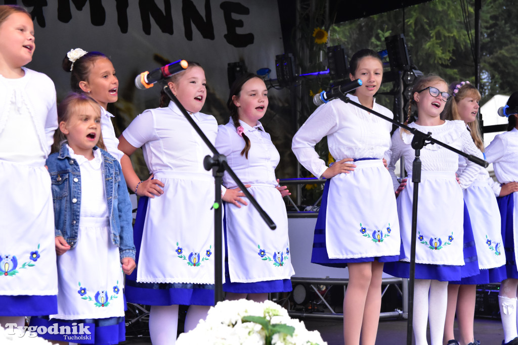 Gmina Śliwice: Tłumy podczas dożynek gminnych w Zaroślach
