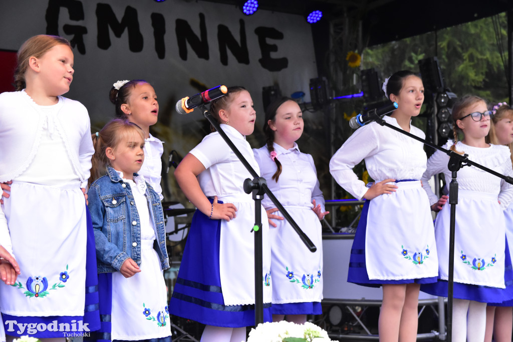 Gmina Śliwice: Tłumy podczas dożynek gminnych w Zaroślach