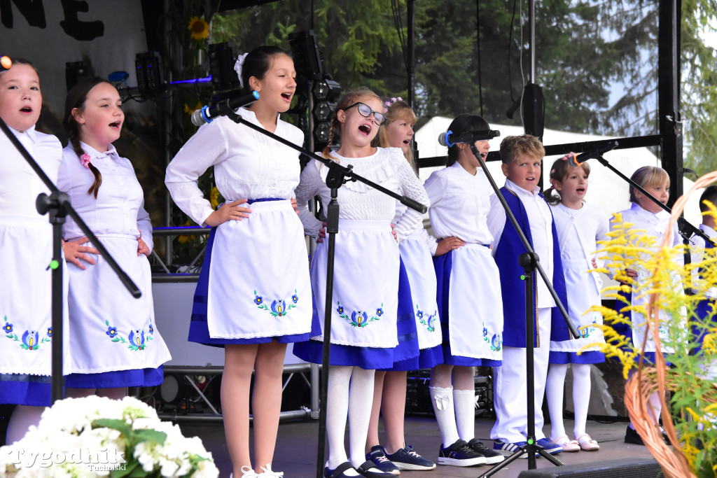 Gmina Śliwice: Tłumy podczas dożynek gminnych w Zaroślach